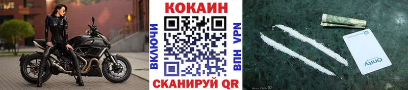 COCAIN Columbia Новосокольники