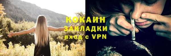 амф Верхний Тагил