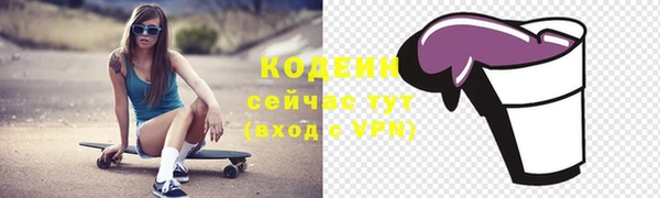 амф Верхний Тагил