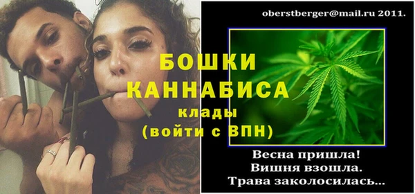 амф Верхний Тагил
