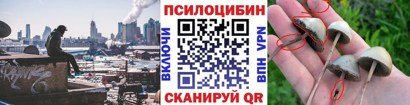 Галлюциногенные грибы ЛСД  Новосокольники 