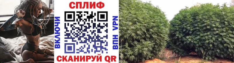 гидра как войти  Новосокольники  Шишки марихуана ГИДРОПОН  наркота 